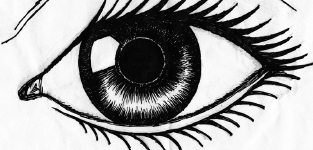 eye